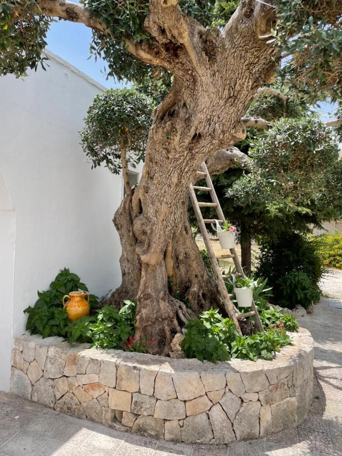 阿尔贝罗贝洛Il Trullo Di Nonno Licchio别墅 外观 照片
