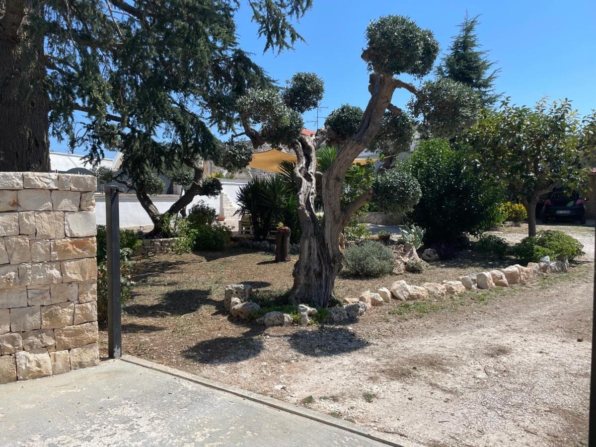 阿尔贝罗贝洛Il Trullo Di Nonno Licchio别墅 外观 照片